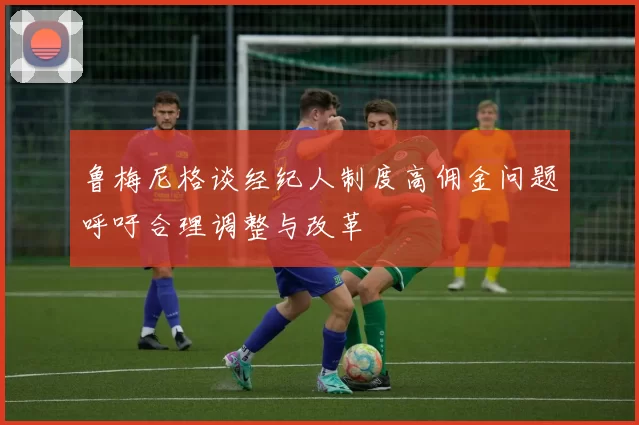 鲁梅尼格谈经纪人制度高佣金问题呼吁合理调整与改革