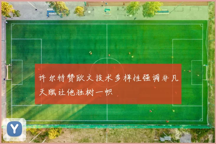 许尔特赞欧文技术多样性强调非凡天赋让他独树一帜