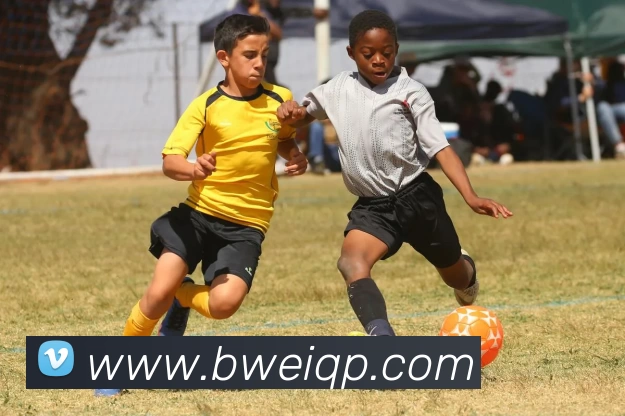 必威棋牌APP 封面图